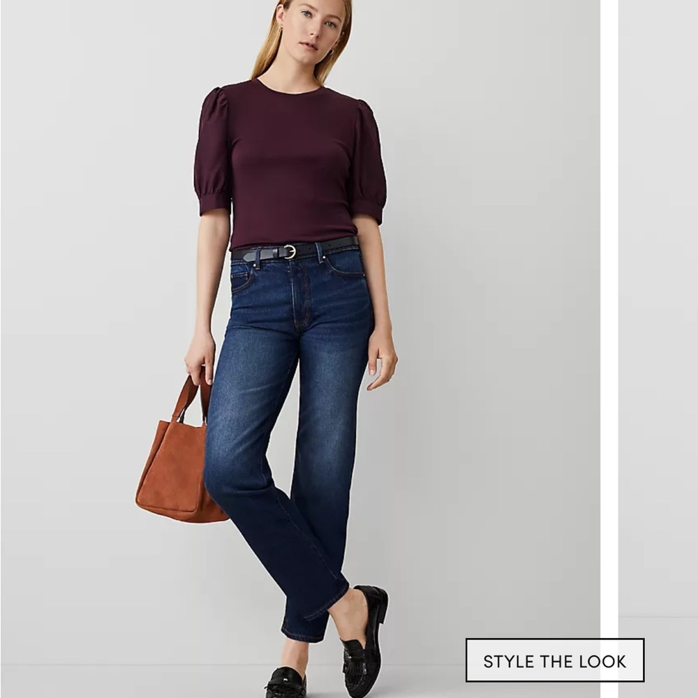 Ann Taylor Dark Blue Straight Leg Jeans